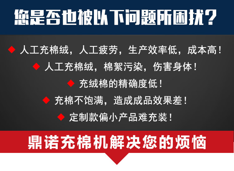 DNDCM-4420四稱(chēng)兩充充棉機產(chǎn)品細節1
