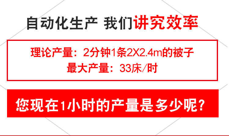 DN-6全自動(dòng)電腦單針絎縫機產(chǎn)品細節8